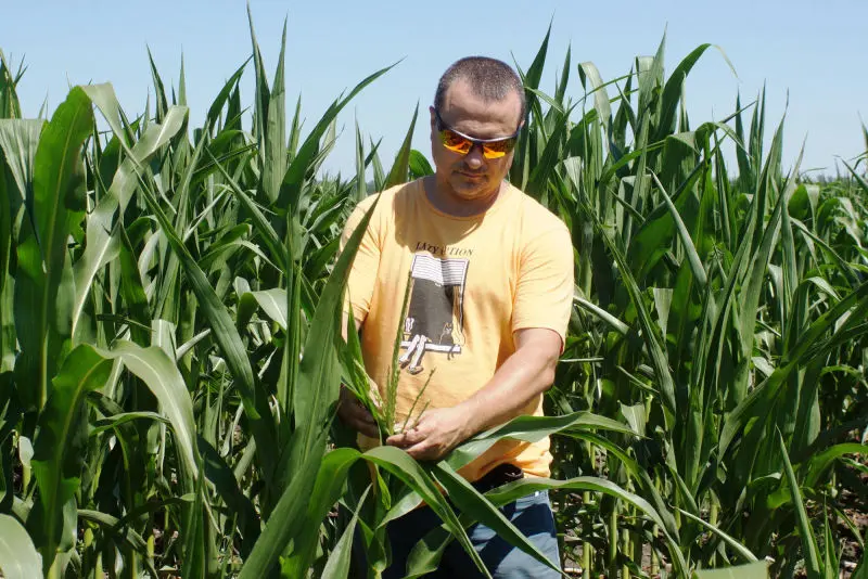 Agribusiness Consultancy Services - for effective Management!