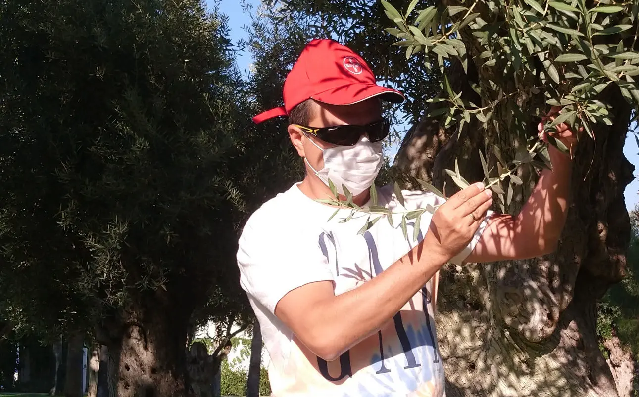 Survey of business, fields, horticulture, vineyards, orchards. Independent control of works quality and professional advising