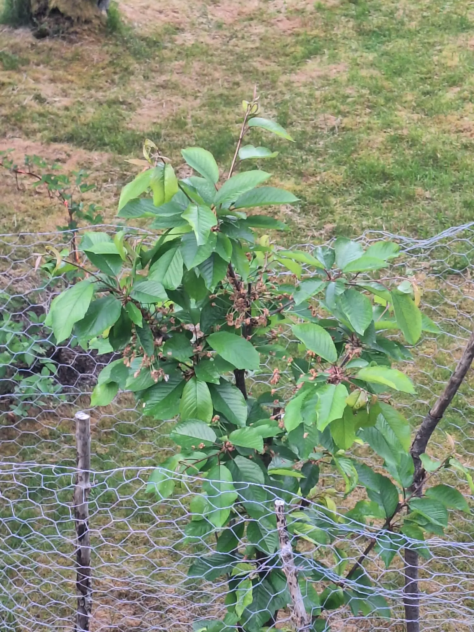 Consulting on agriculture and successful business management in a strong continental climate Kazakhstan