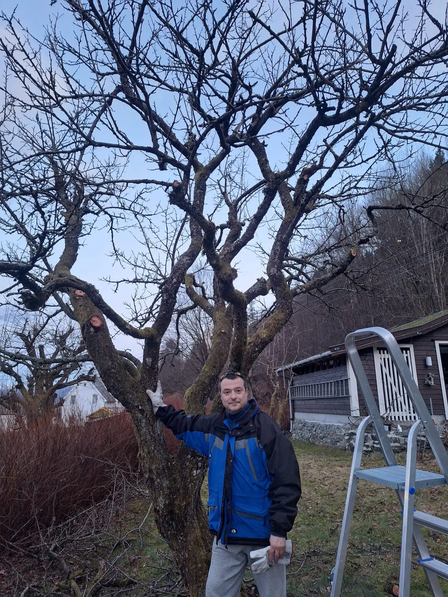 Consulting on agriculture and successful business management in a strong continental climate Kazakhstan