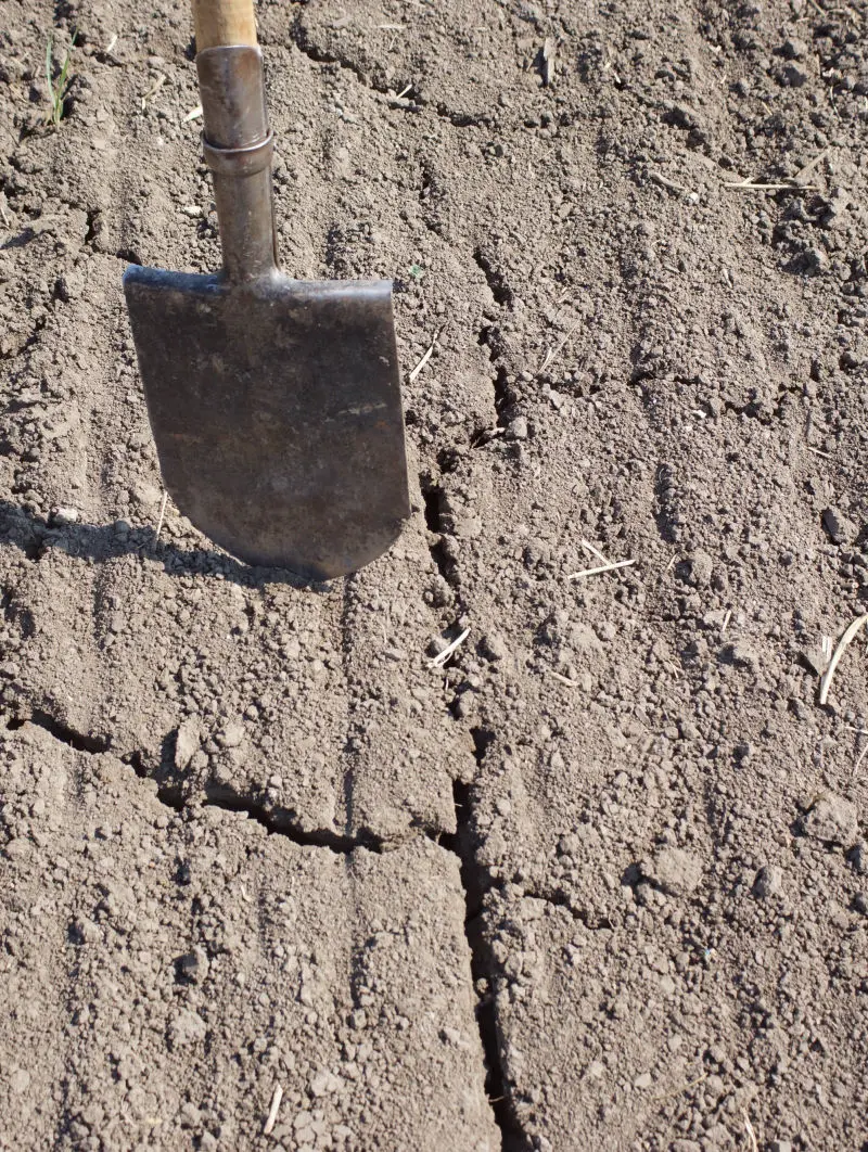 Technical Audit Agriculture