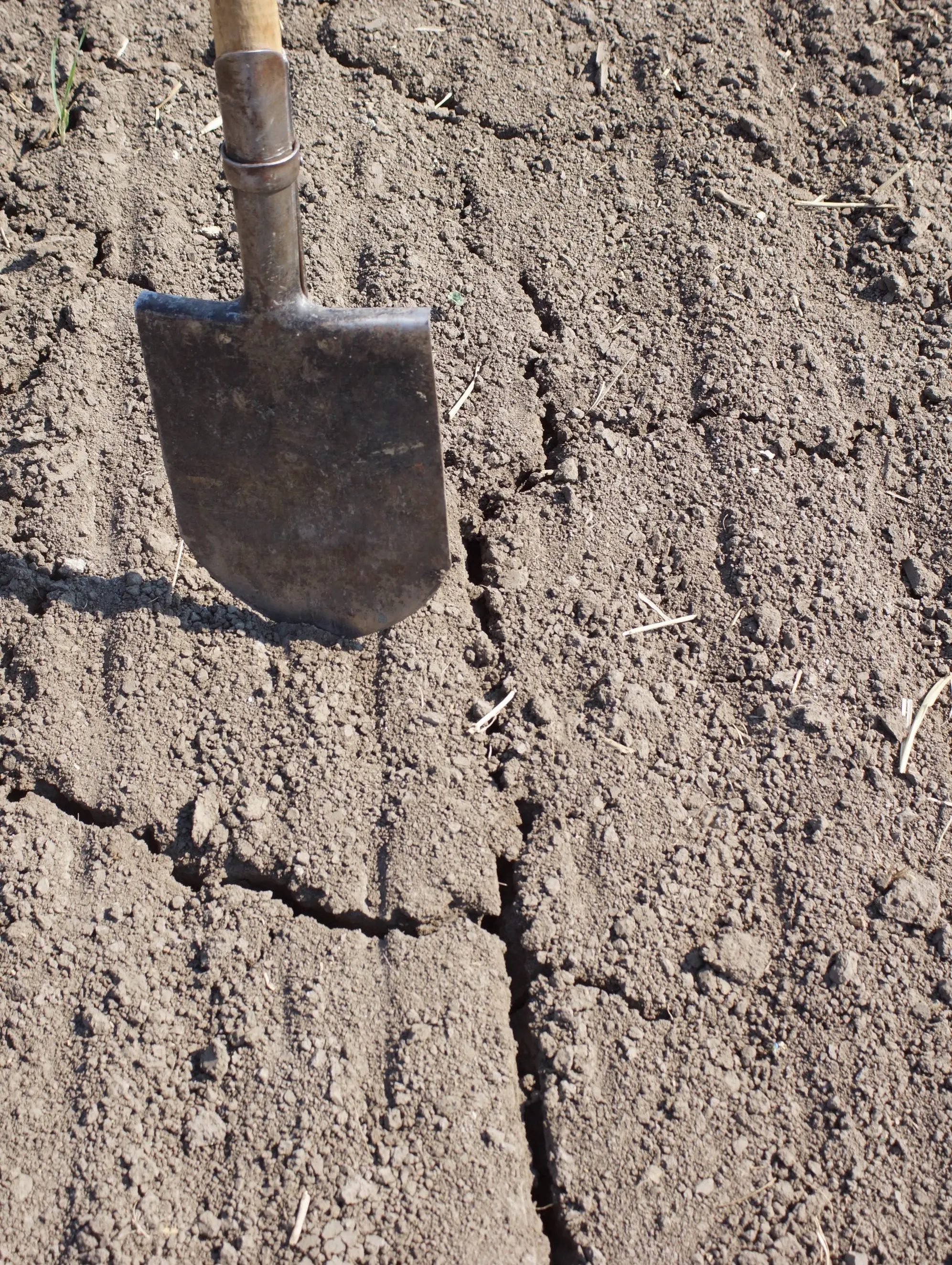 Technical Audit Agriculture