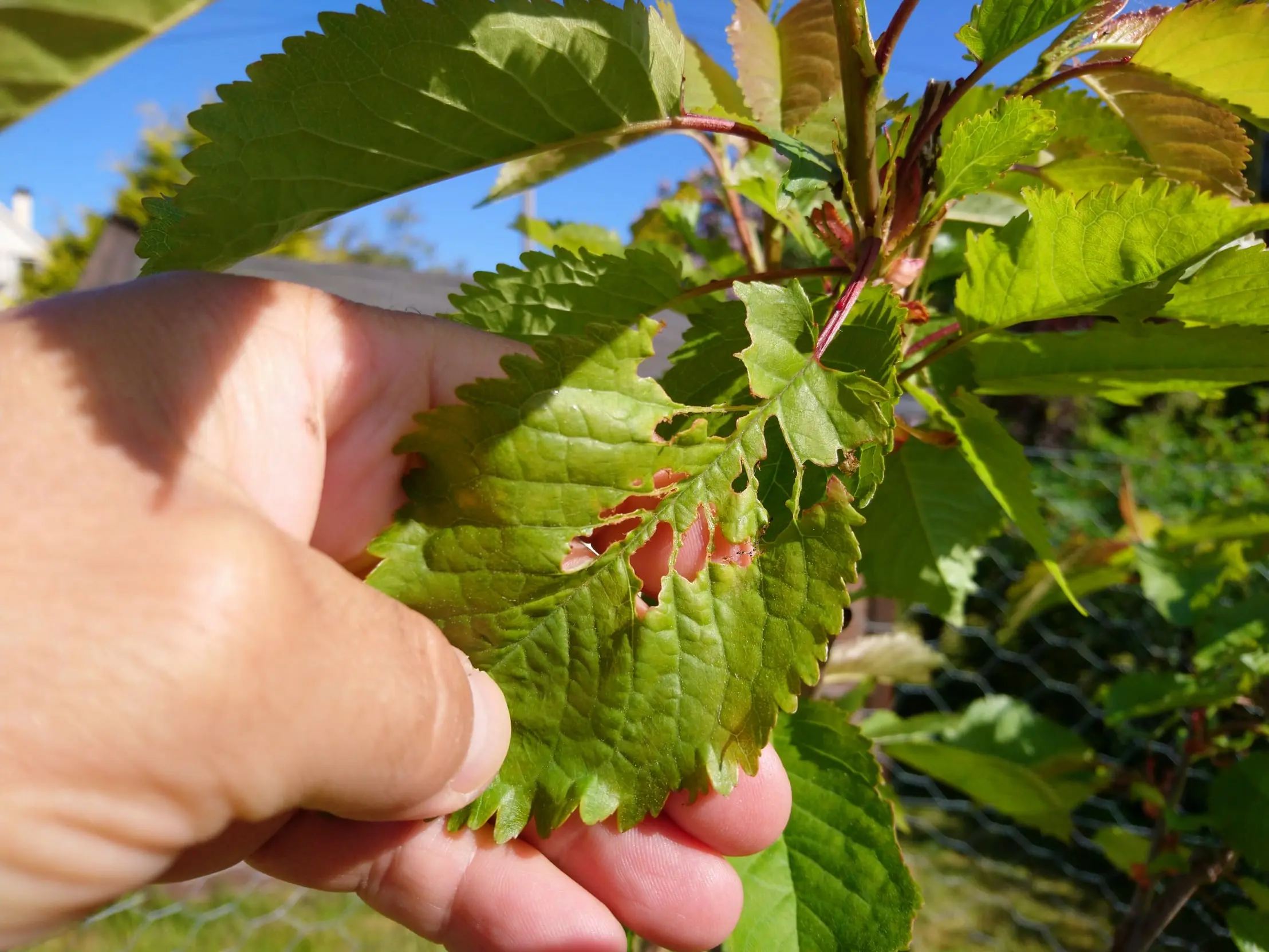 Consulting on agriculture and successful business management in a strong continental climate Kazakhstan
