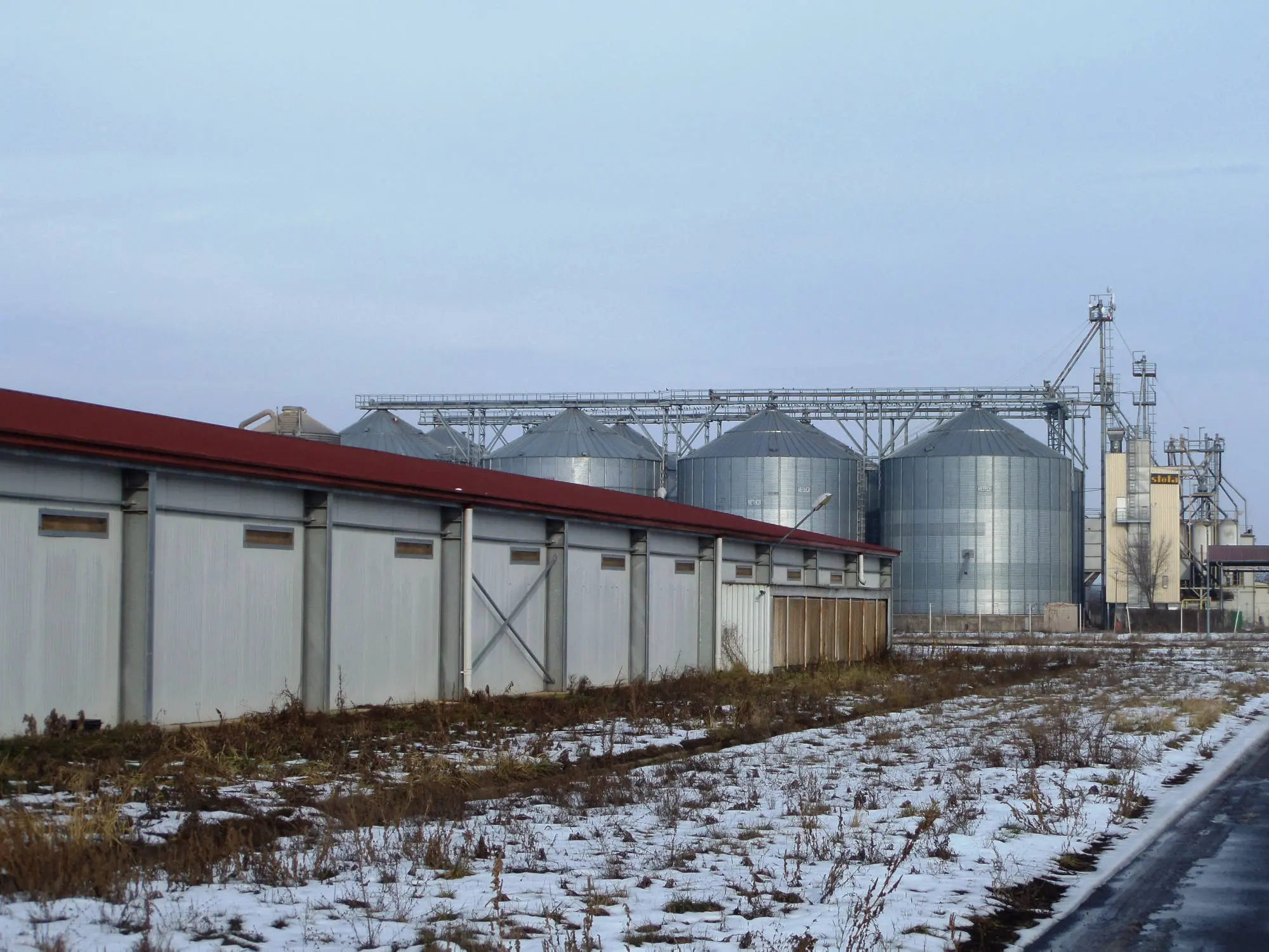 management consulting agriculture