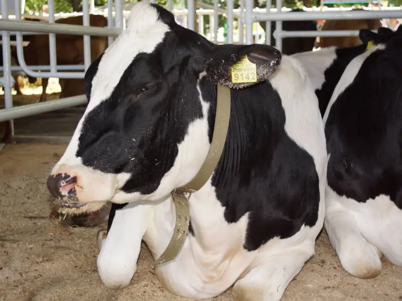 Modern Farming Project Management