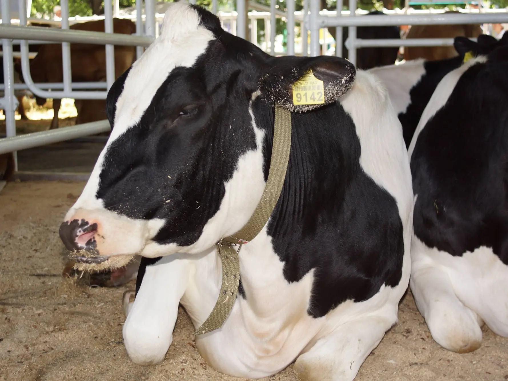 Modern Farming Project Management