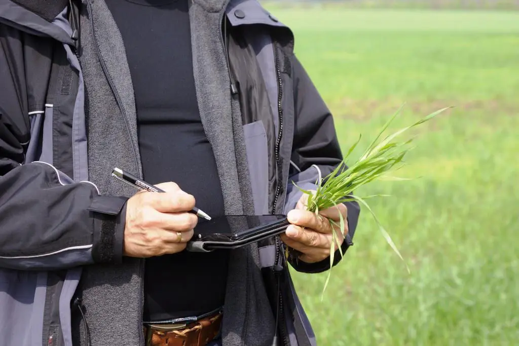 Consulting and Business Support Agriculture